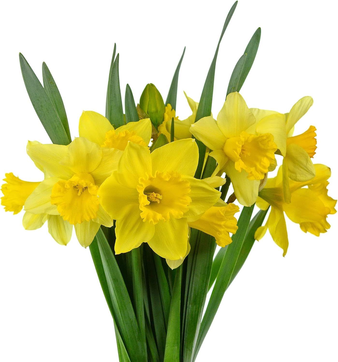 Image of Our February News