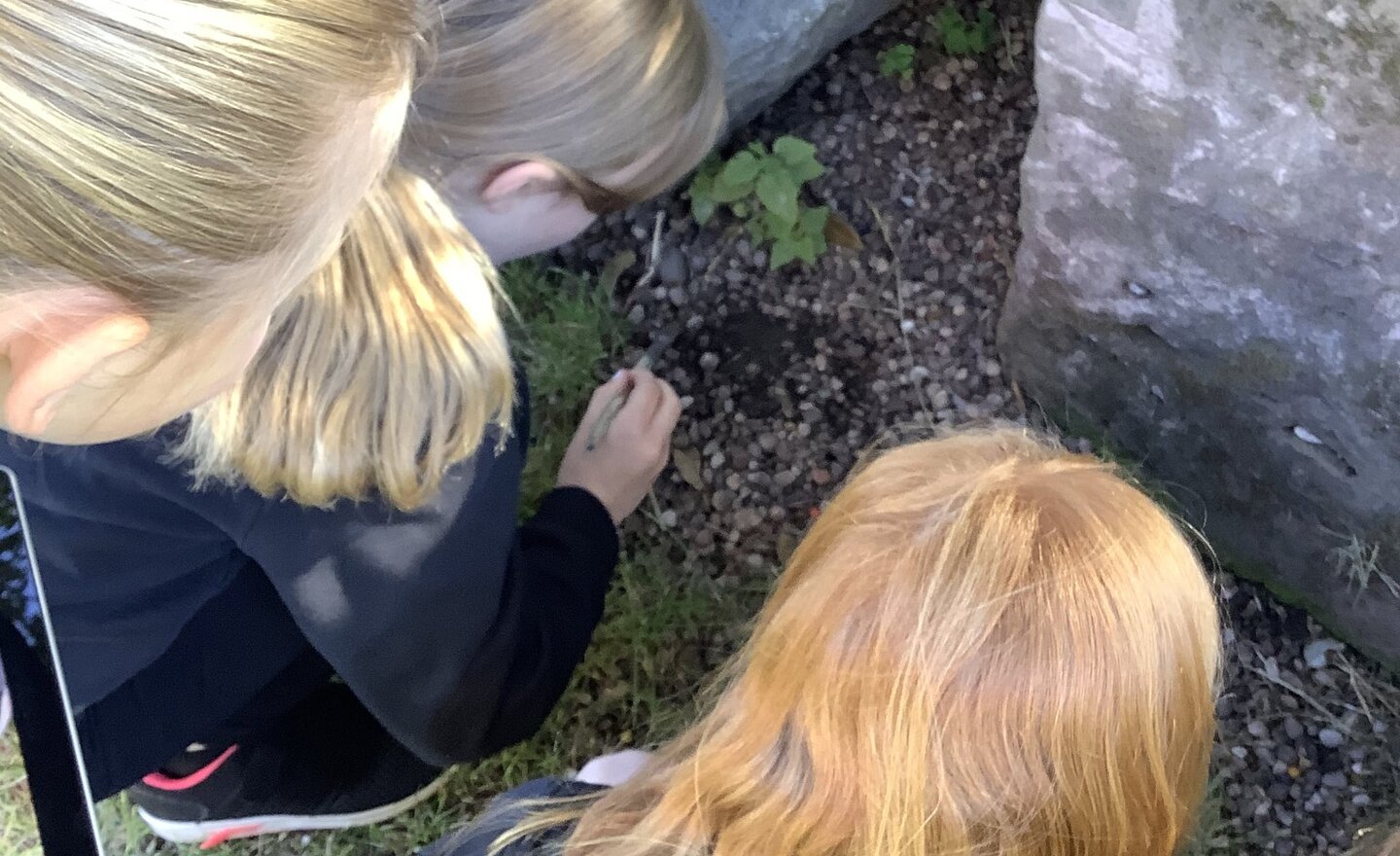 Image of Autumn Term 1 - Week 6