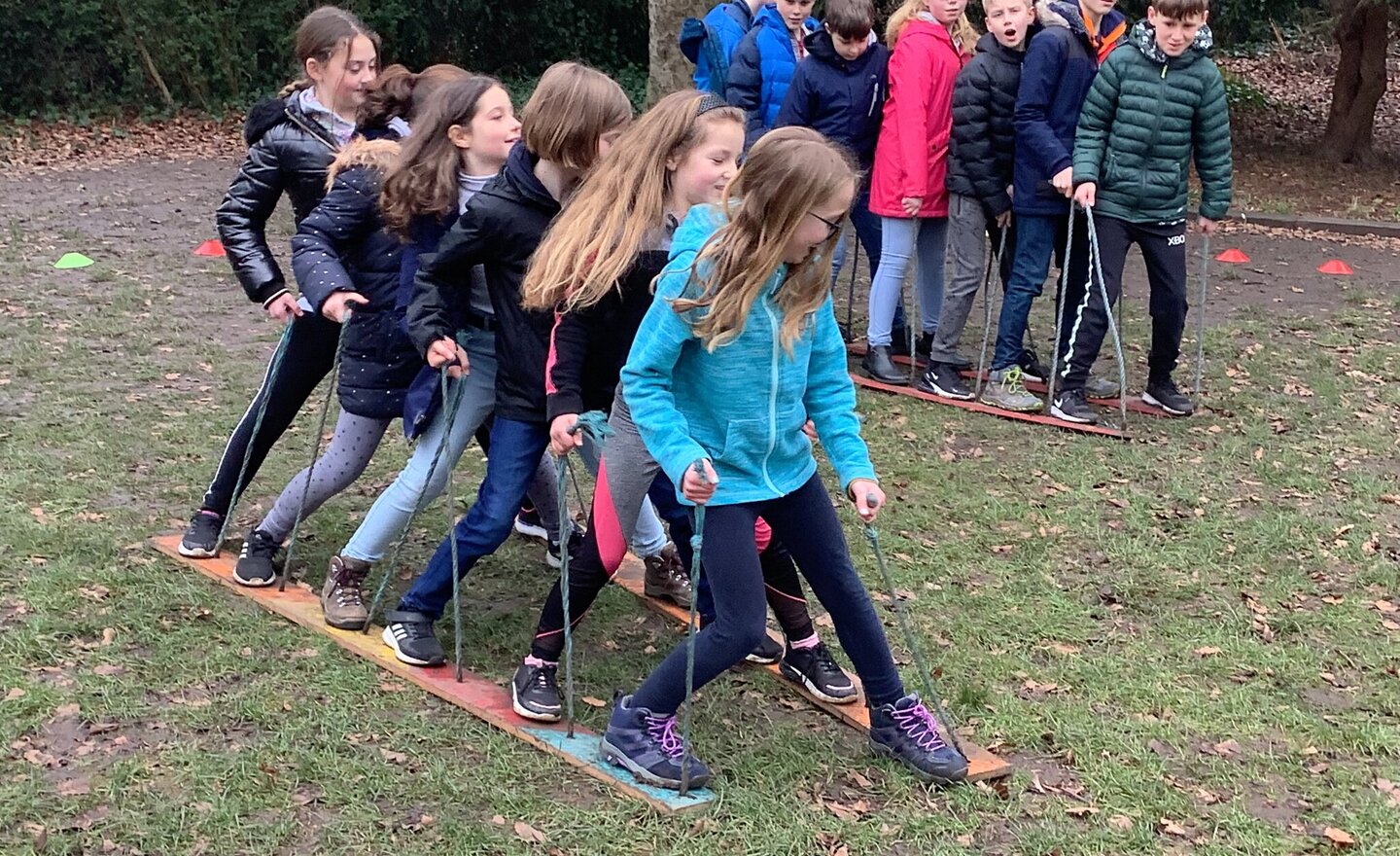 Image of Spring 2 - Week 1