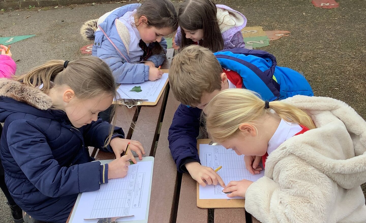 Image of Class 2- Spring 2- Week 3