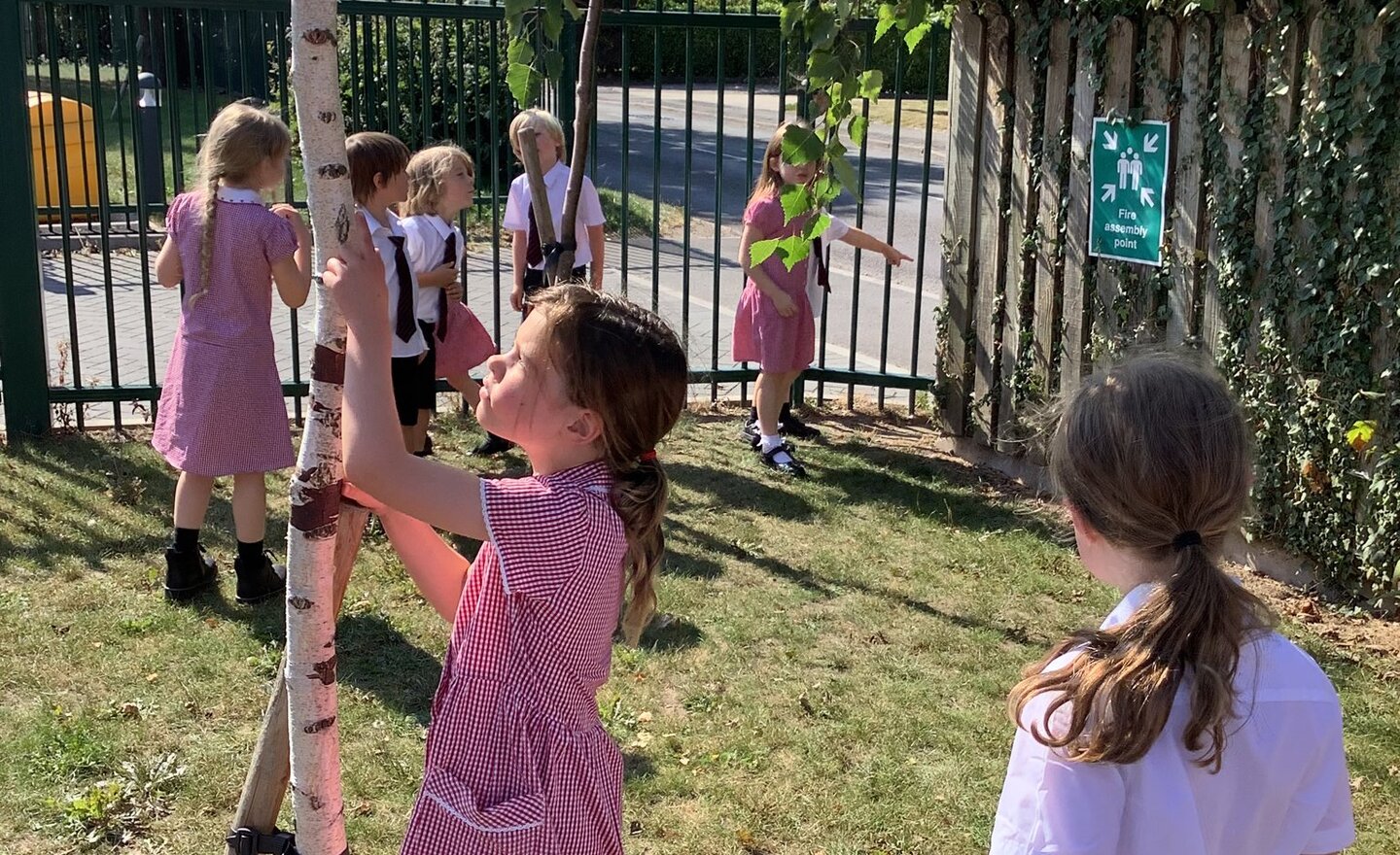 Image of Autumn 1 - Week 2