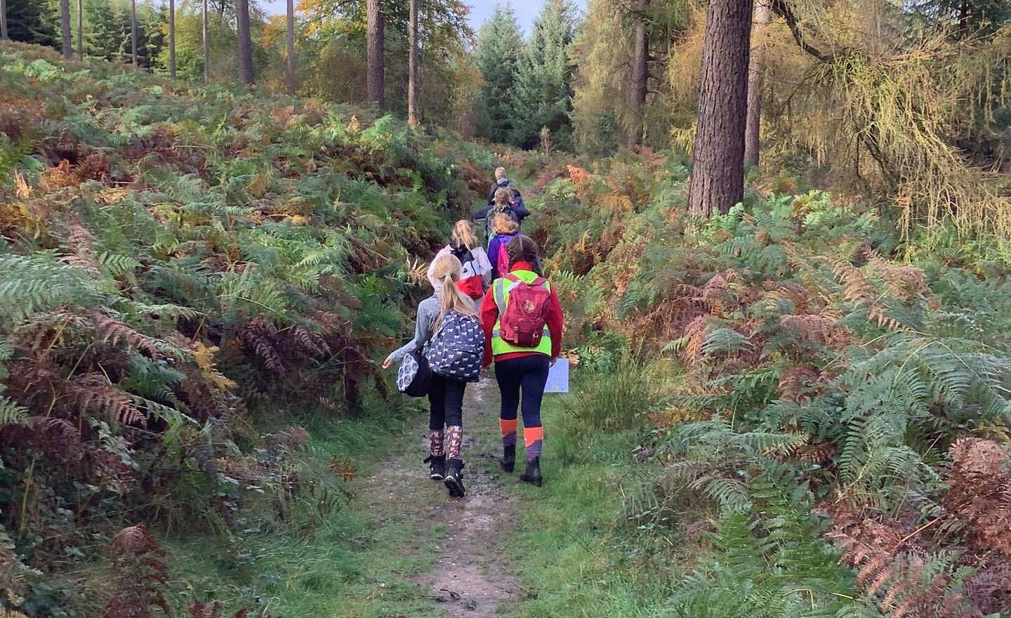 Image of Autumn 1 Week 8