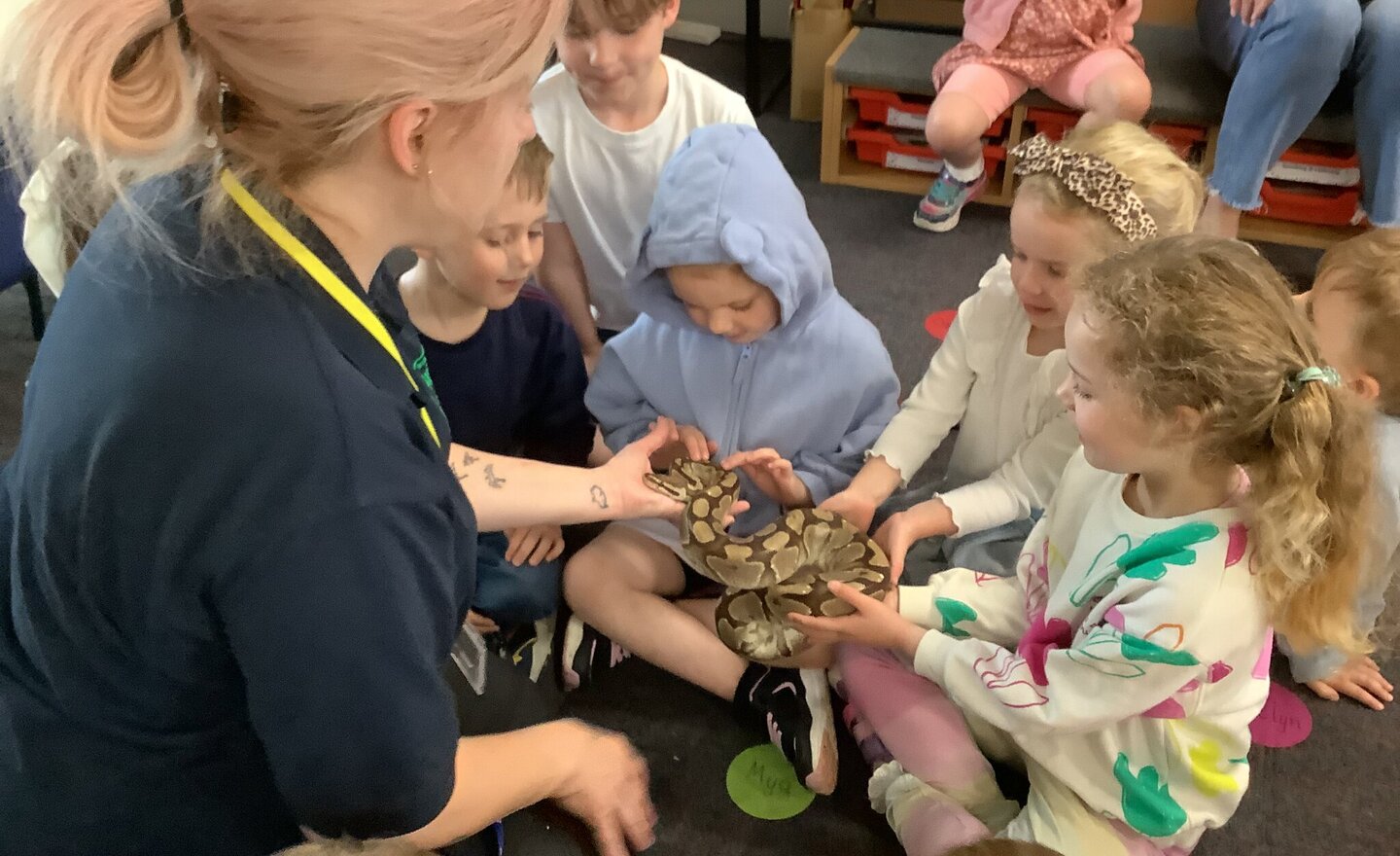 Image of Class 1 Summer 1 Week 2