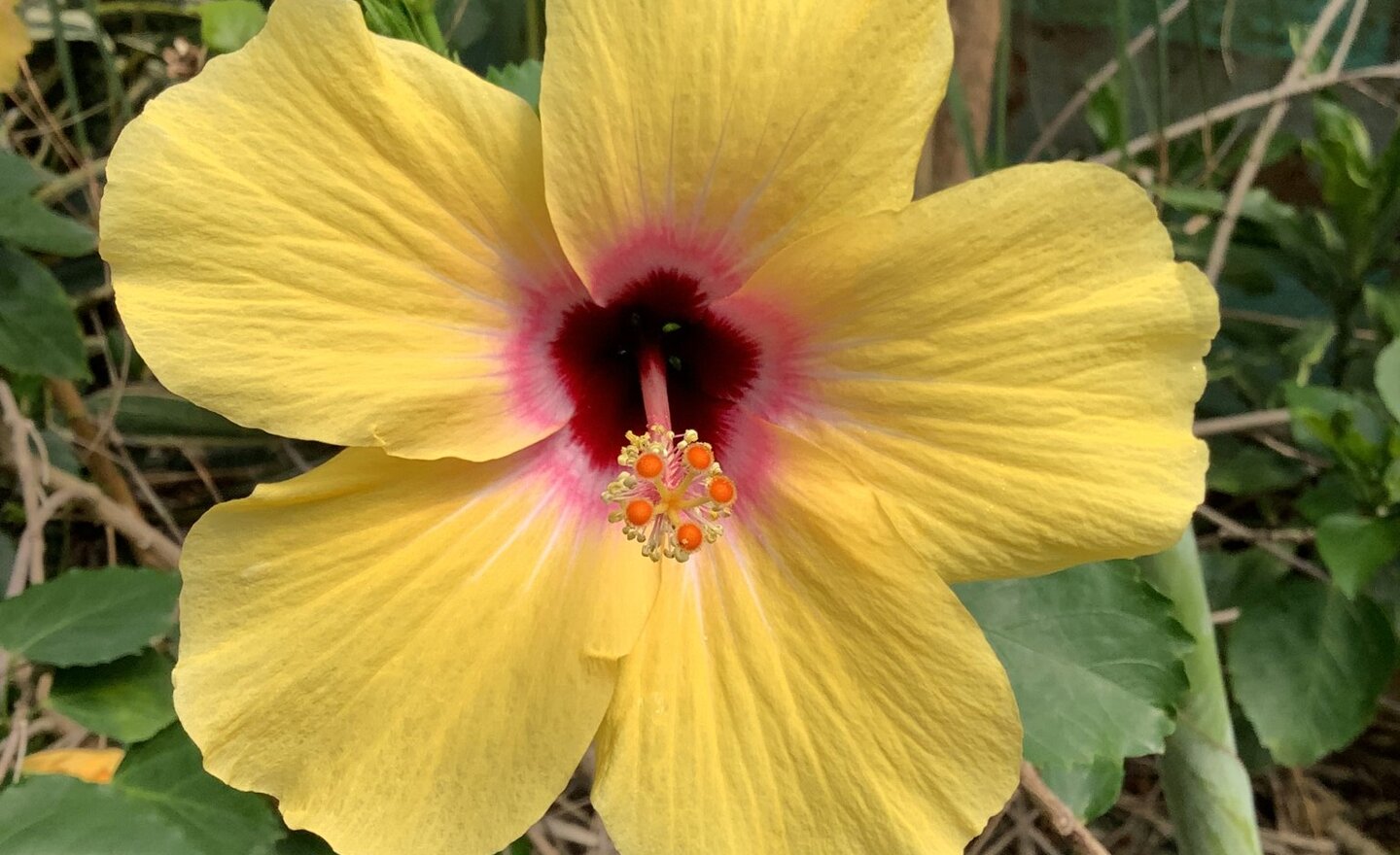 Image of Class 1 End of year!