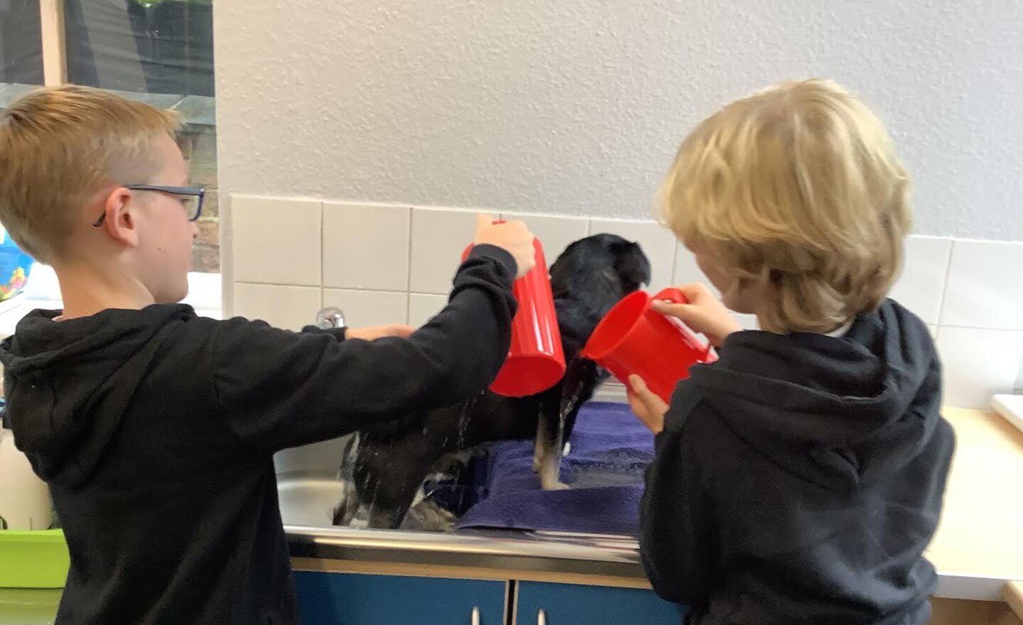 Image of Autumn 1 Week 3