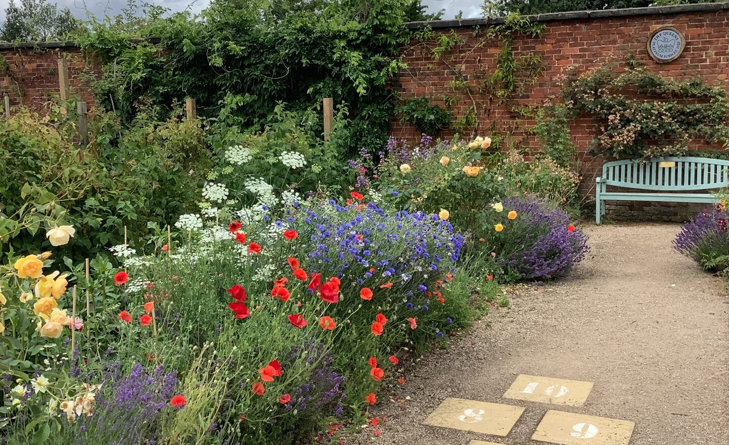 Image of Class 1 summer 2 week 6