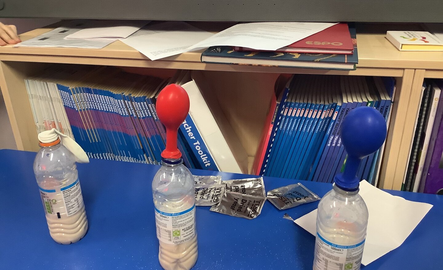 Image of Spring 1 - Week 5