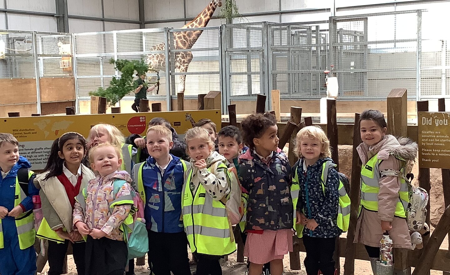 Image of Class 1 summer 2 Week 2