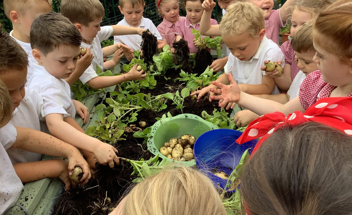 Image of Class 1 summer 2 Week 4