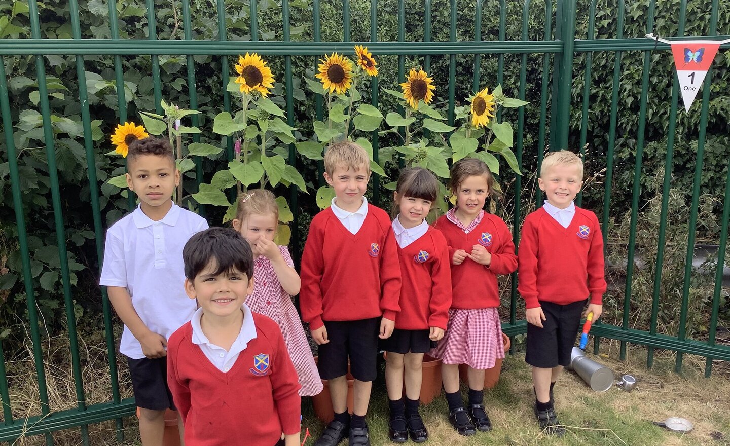 Image of Class 1 summer Week 6