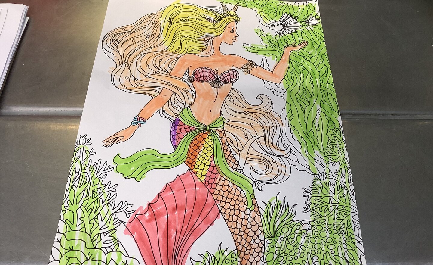 Image of Summer Term 2 - Week 6