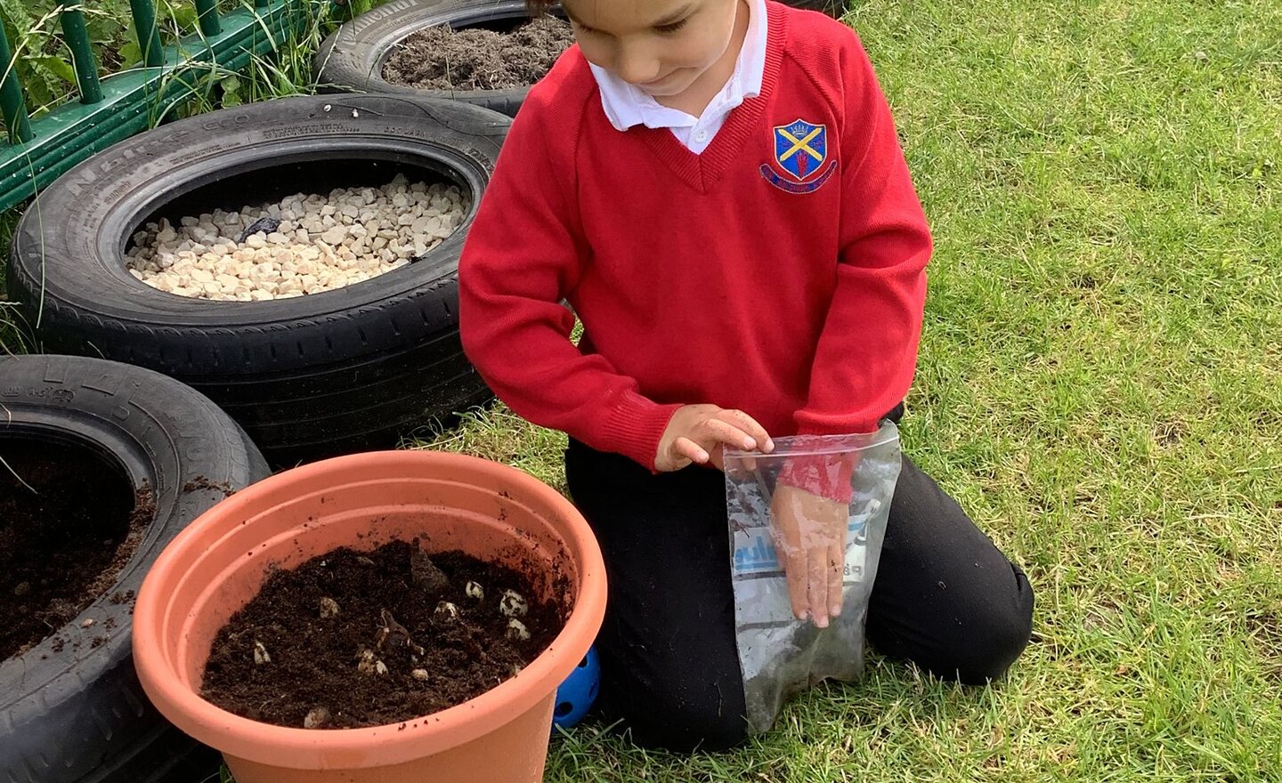 Image of Class 1 summer 2 Week 3