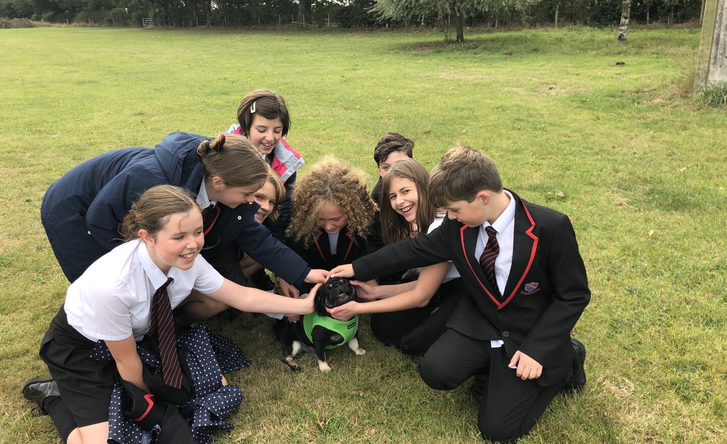 Image of Autumn 1 - Week 6