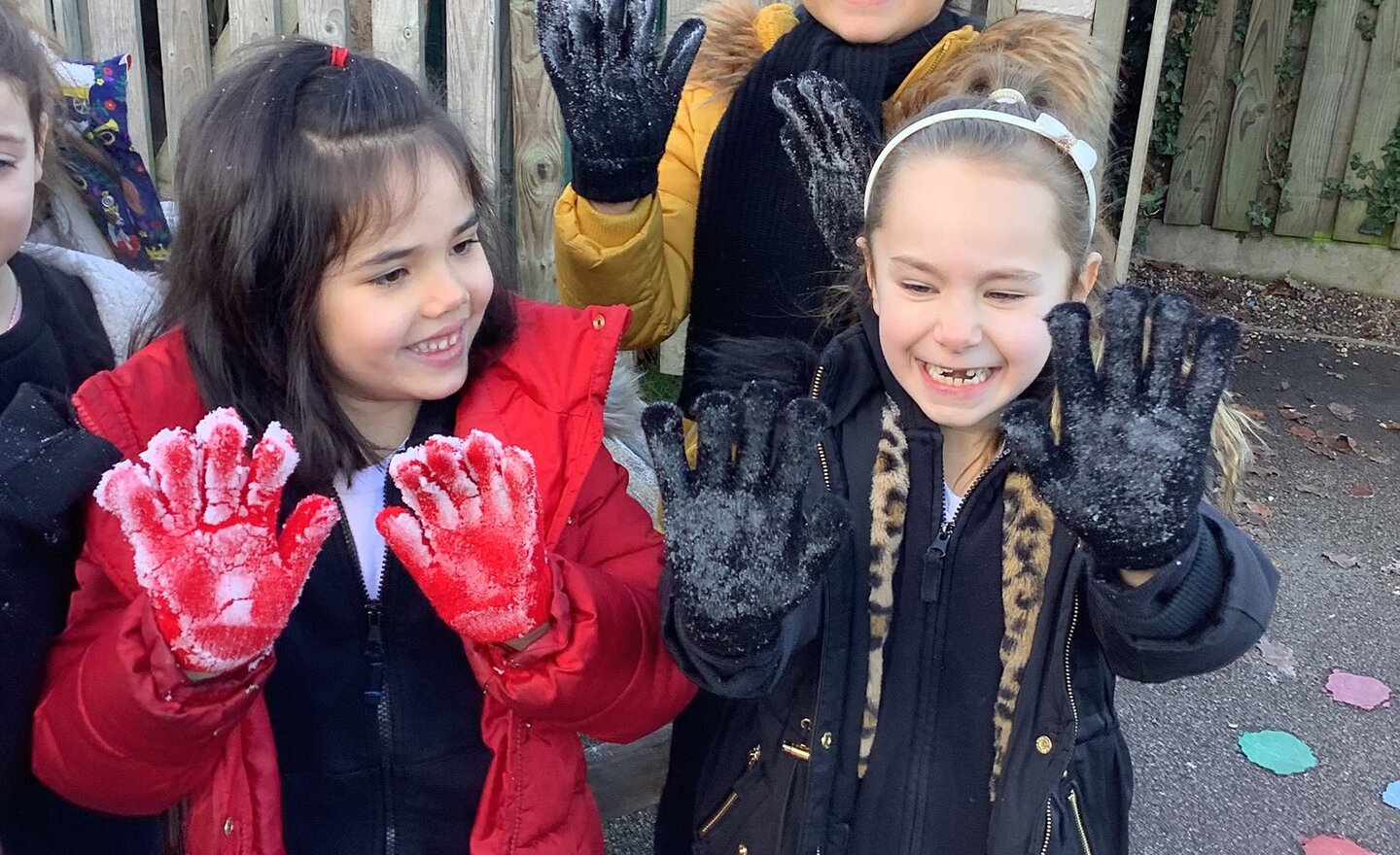 Image of Spring Term Week 2