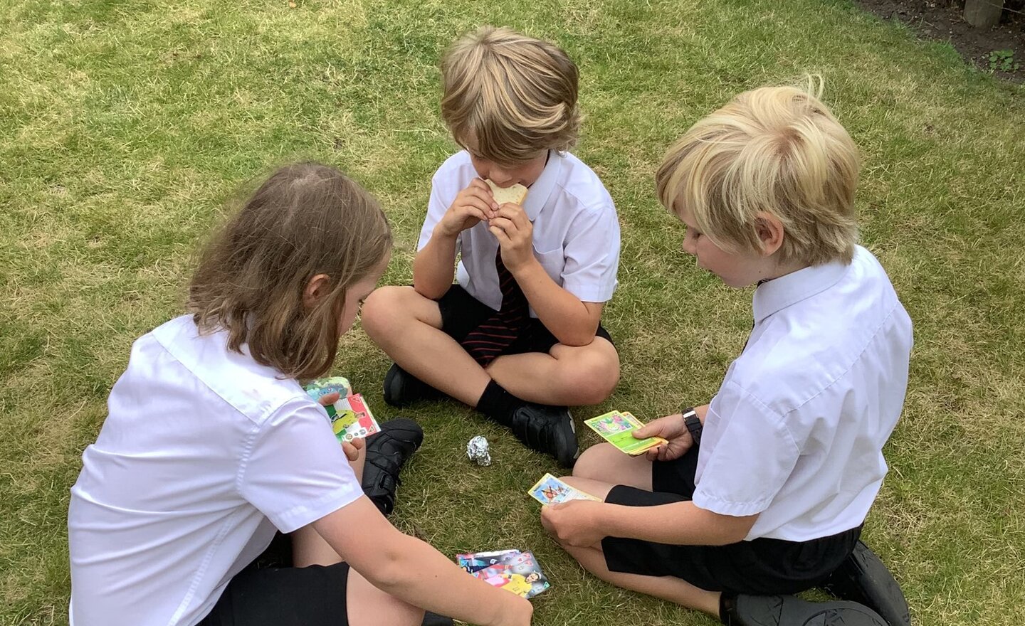 Image of Summer Term 2 Week 5