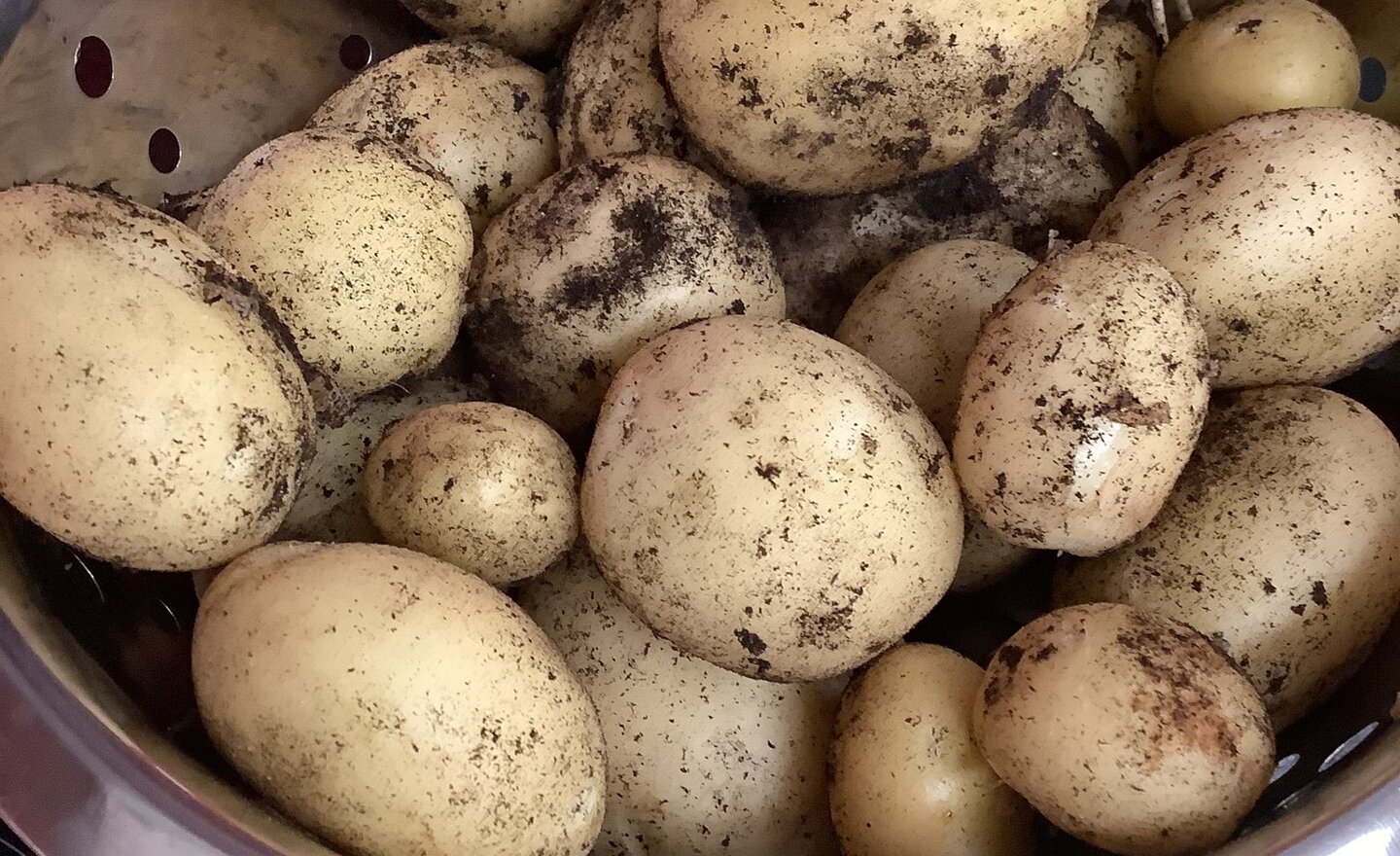 Image of Class 1 summer 2