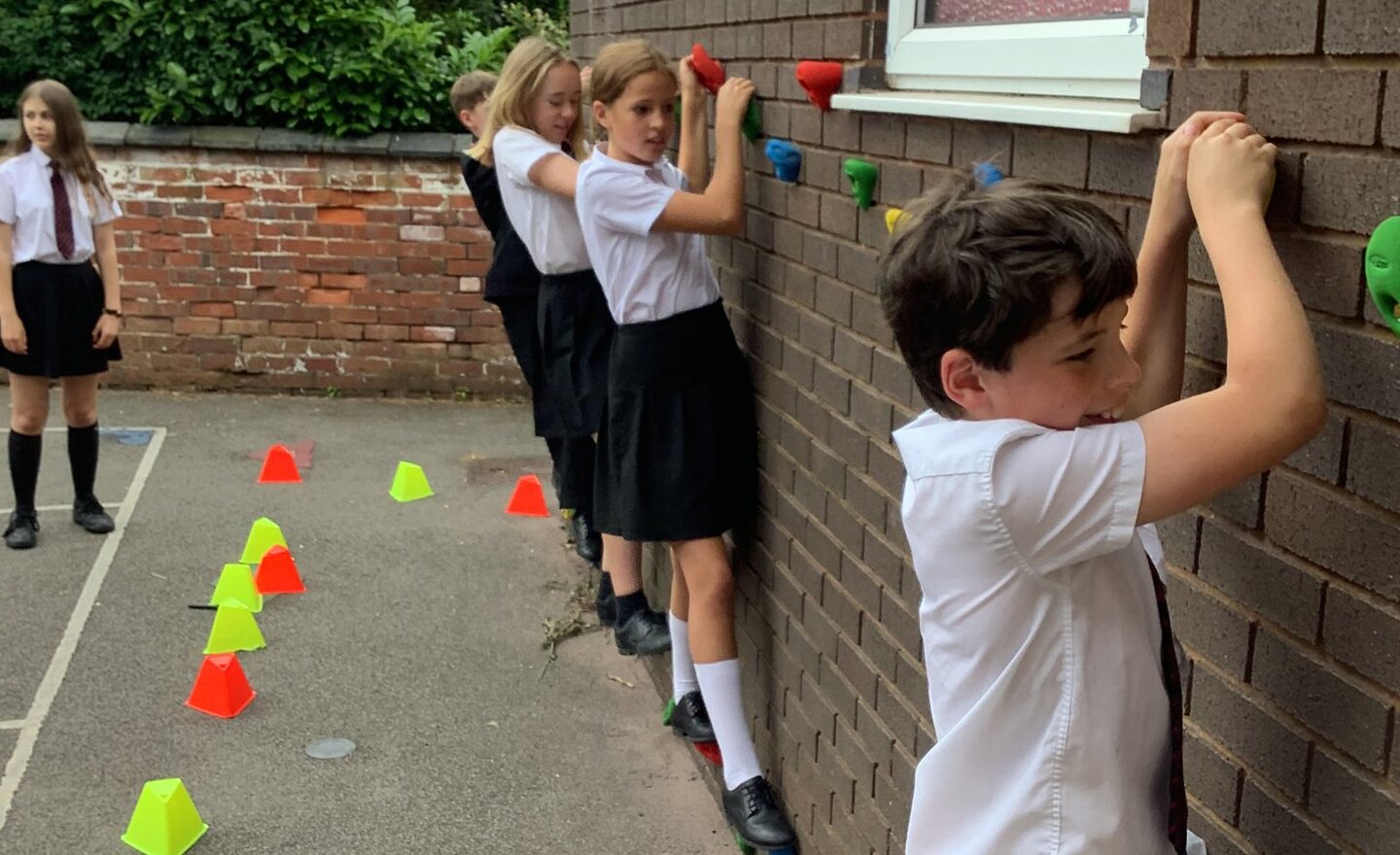 Image of Summer 2 - Week 3 