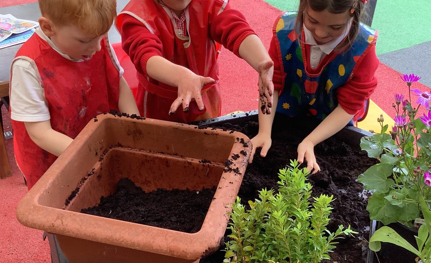 Image of Class 1 summer term week 4