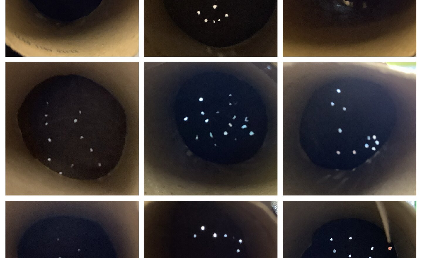 Image of Autumn 2 Week 4