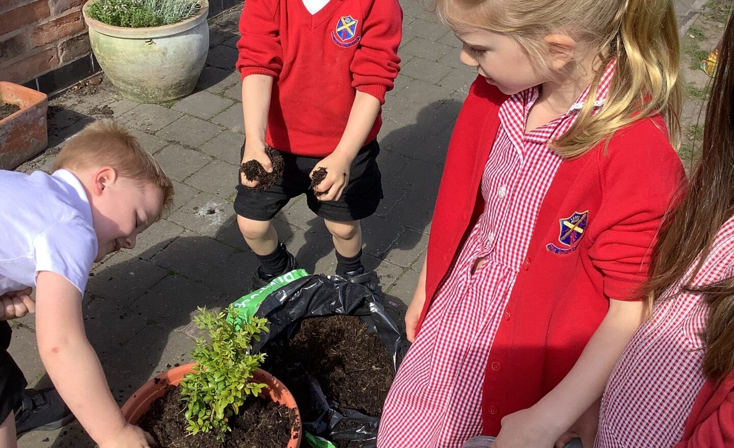 Image of Class 1 summer 1 Week 6