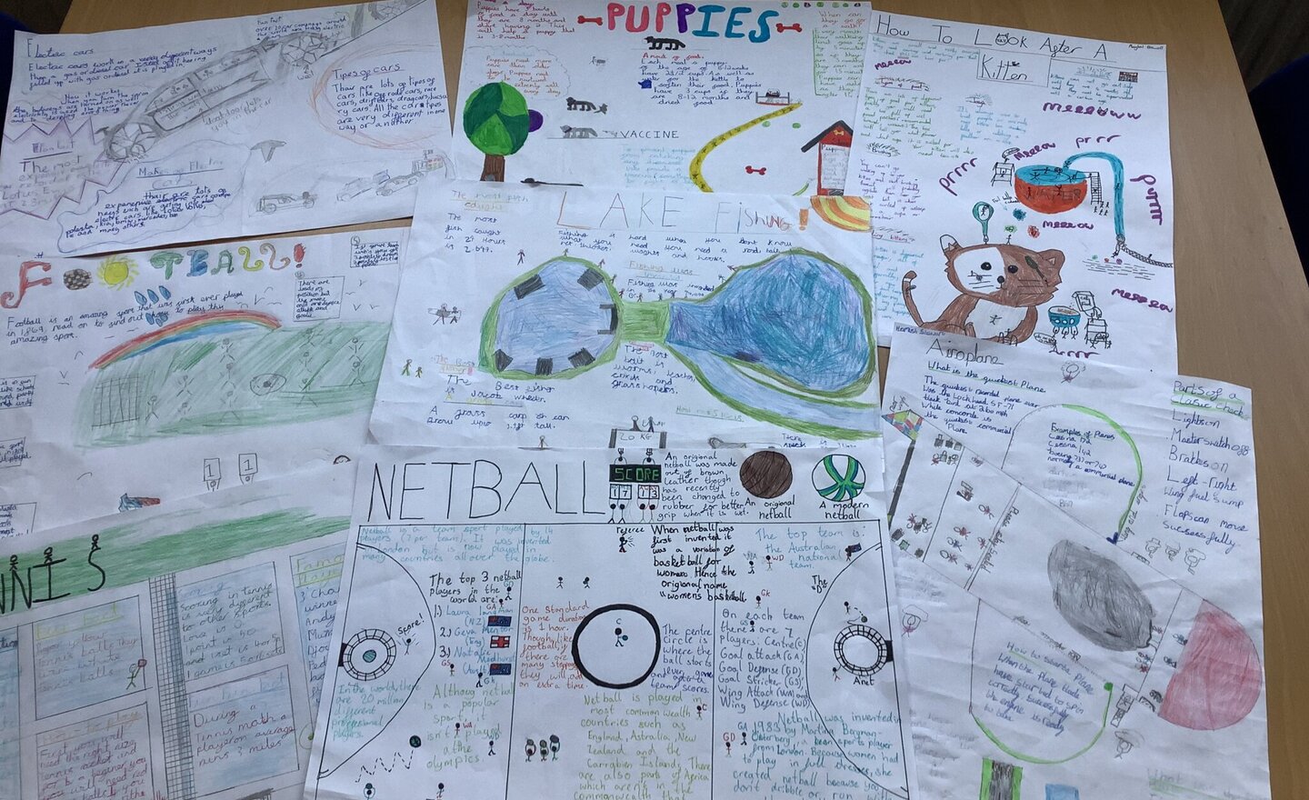 Image of Summer 2 Week 4