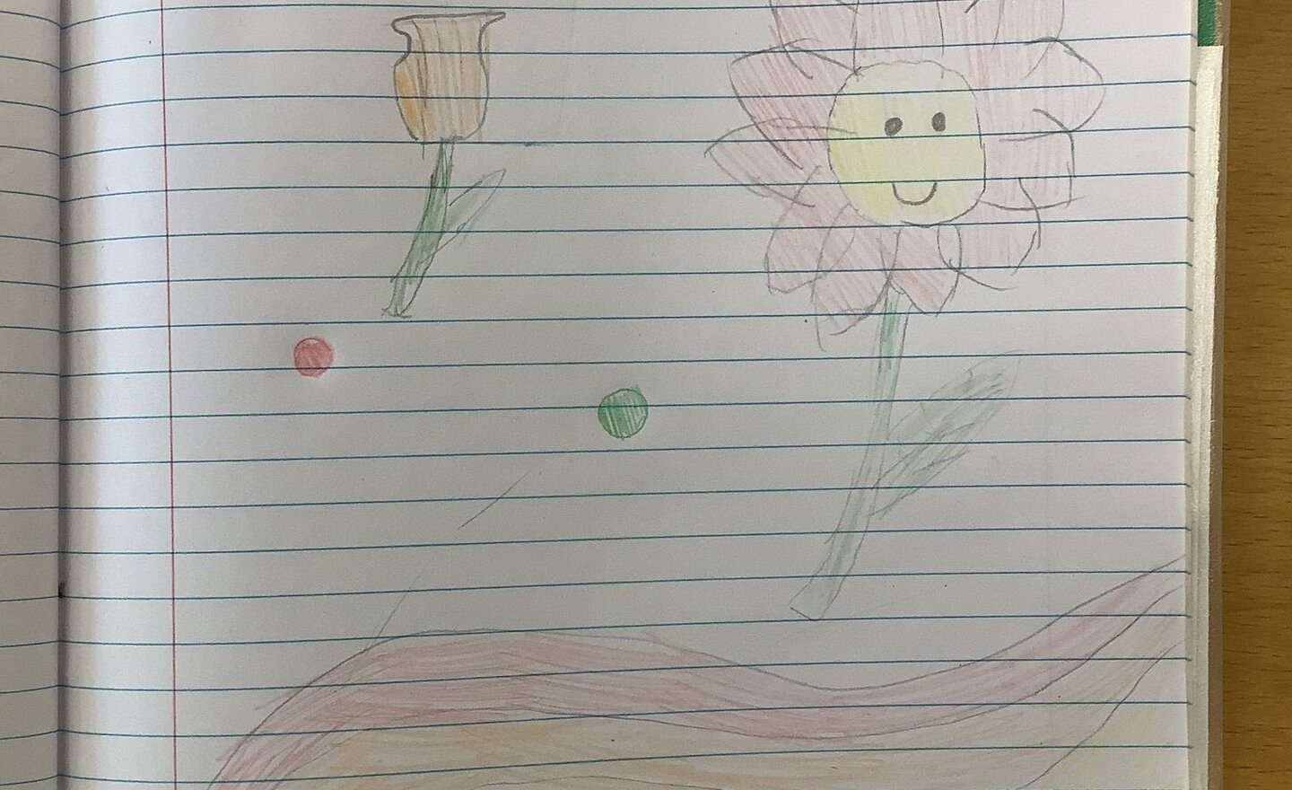 Image of Summer 2 Week 1