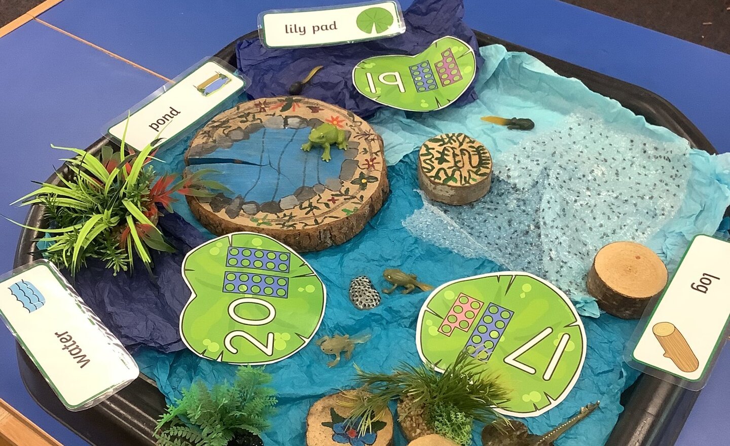 Image of Class 1 summer 2 Week 2 2026