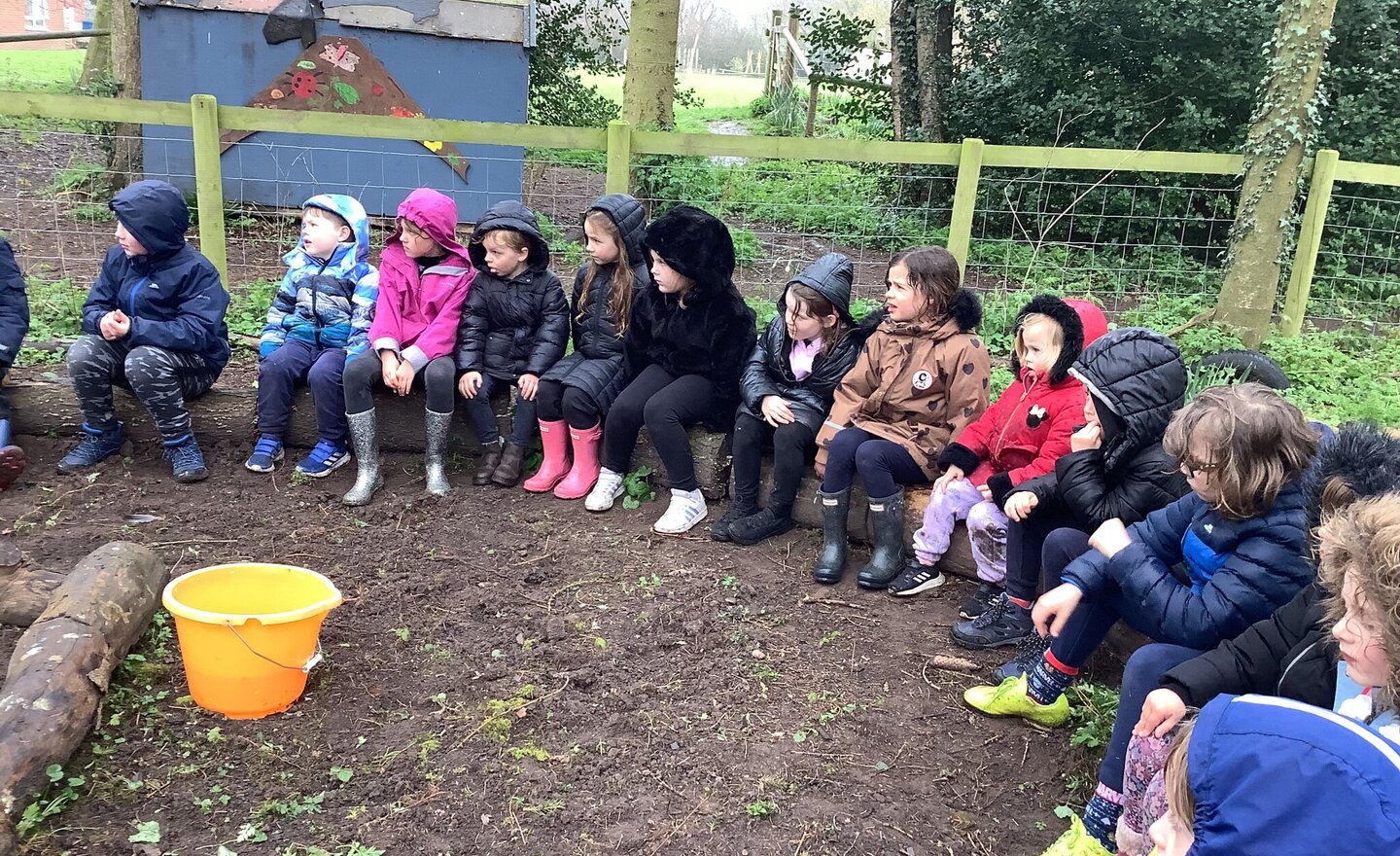 Image of Spring 2 - Week 6