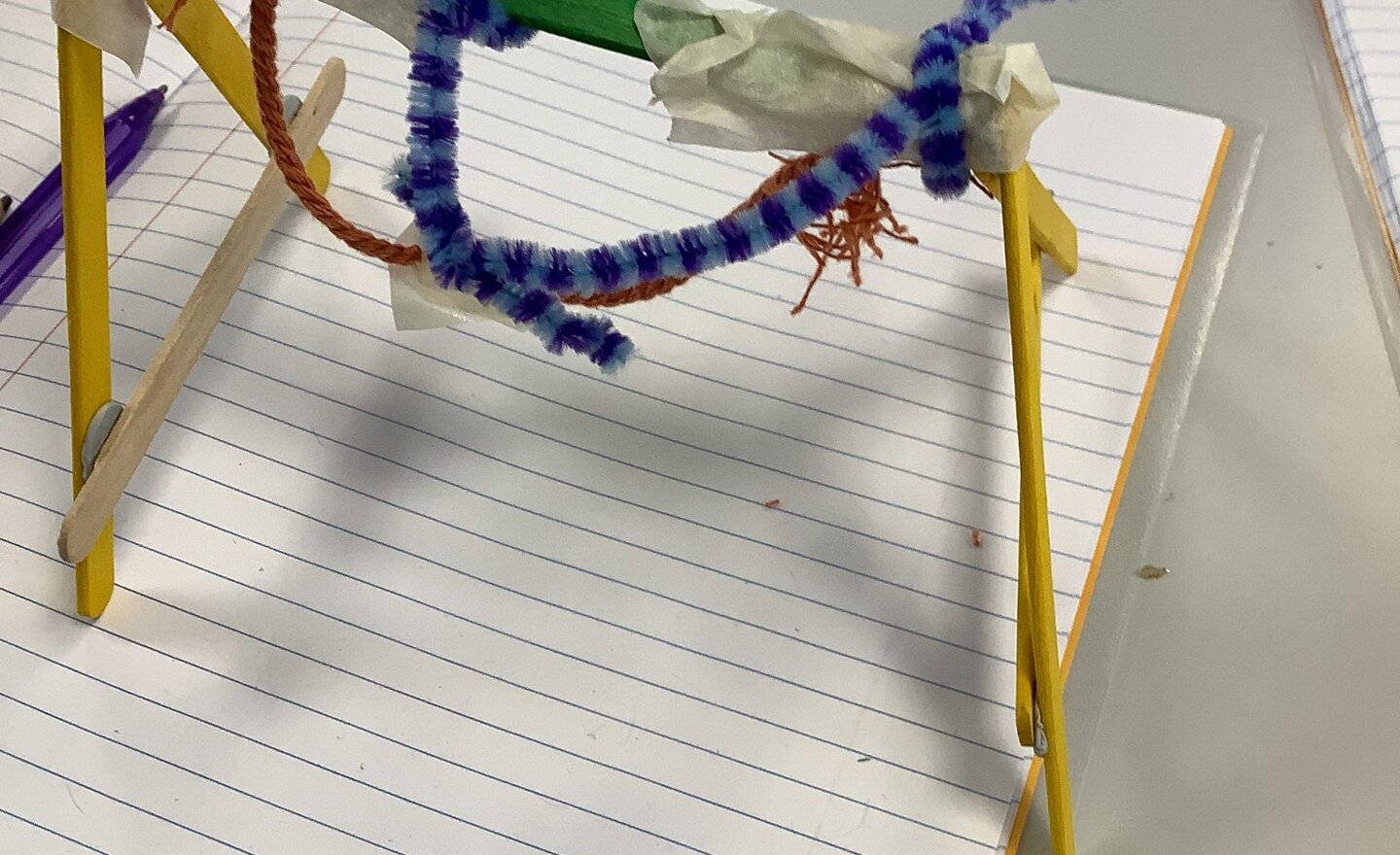 Image of Spring Term 2- Class 2-Week 4