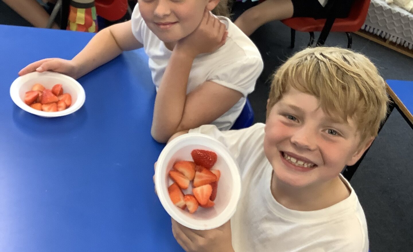 Image of Summer Term 2 - Week 3