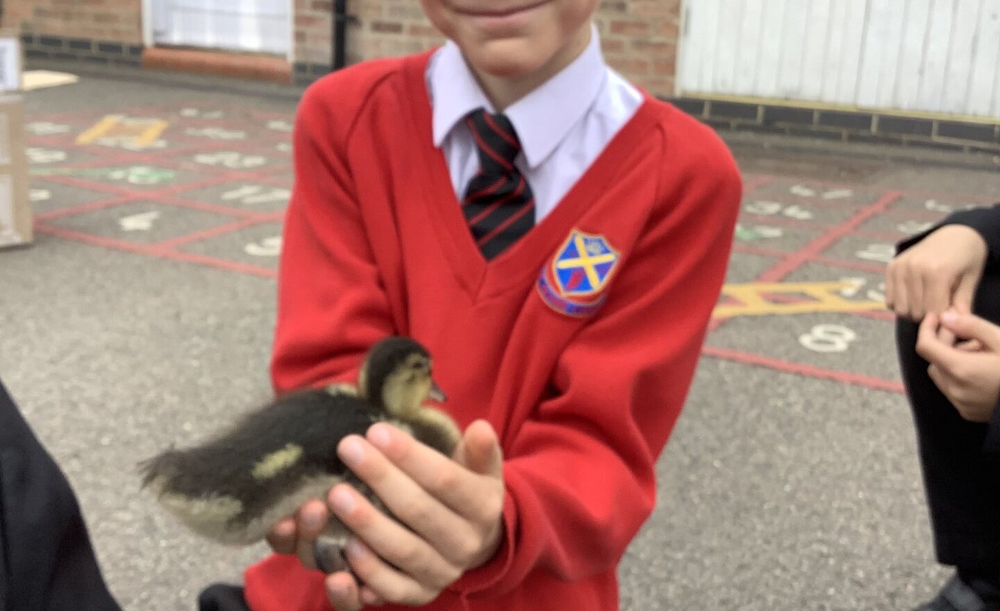 Image of Summer Term 1 - Week 4