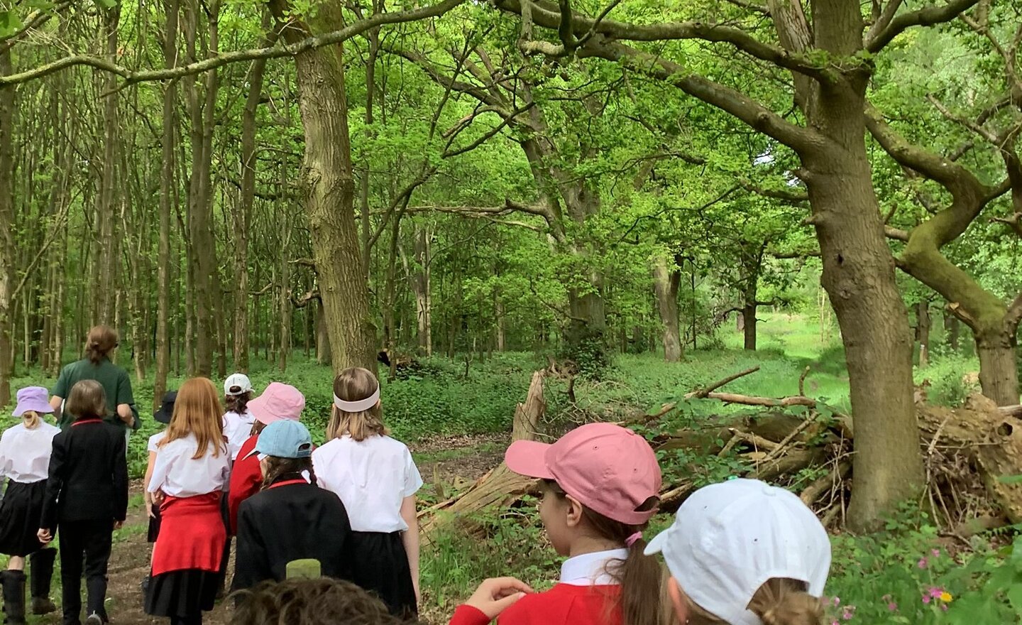 Image of Class 4 - Summer 1 - Week 5