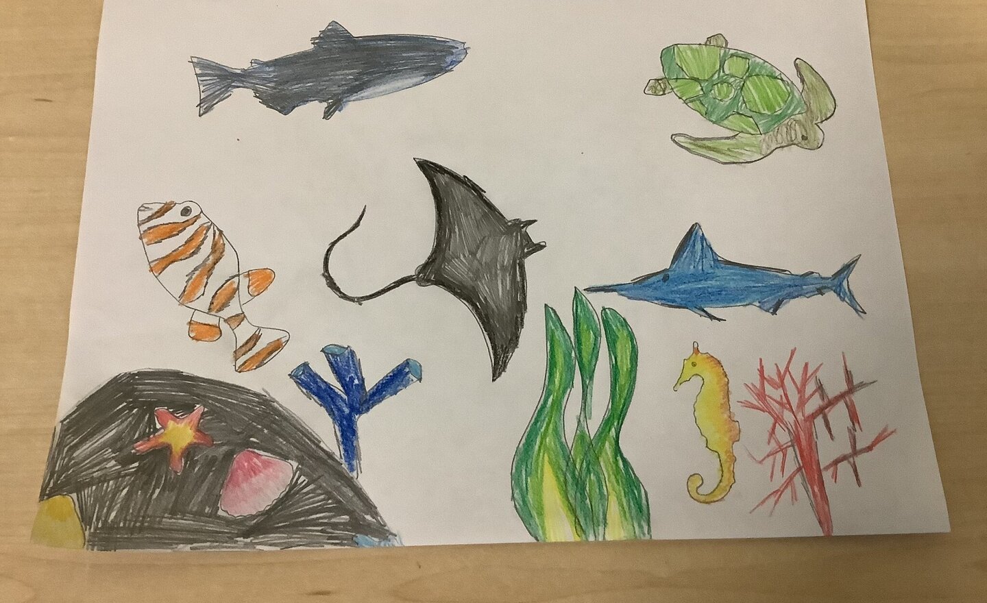 Image of Spring Term 1- Week 2