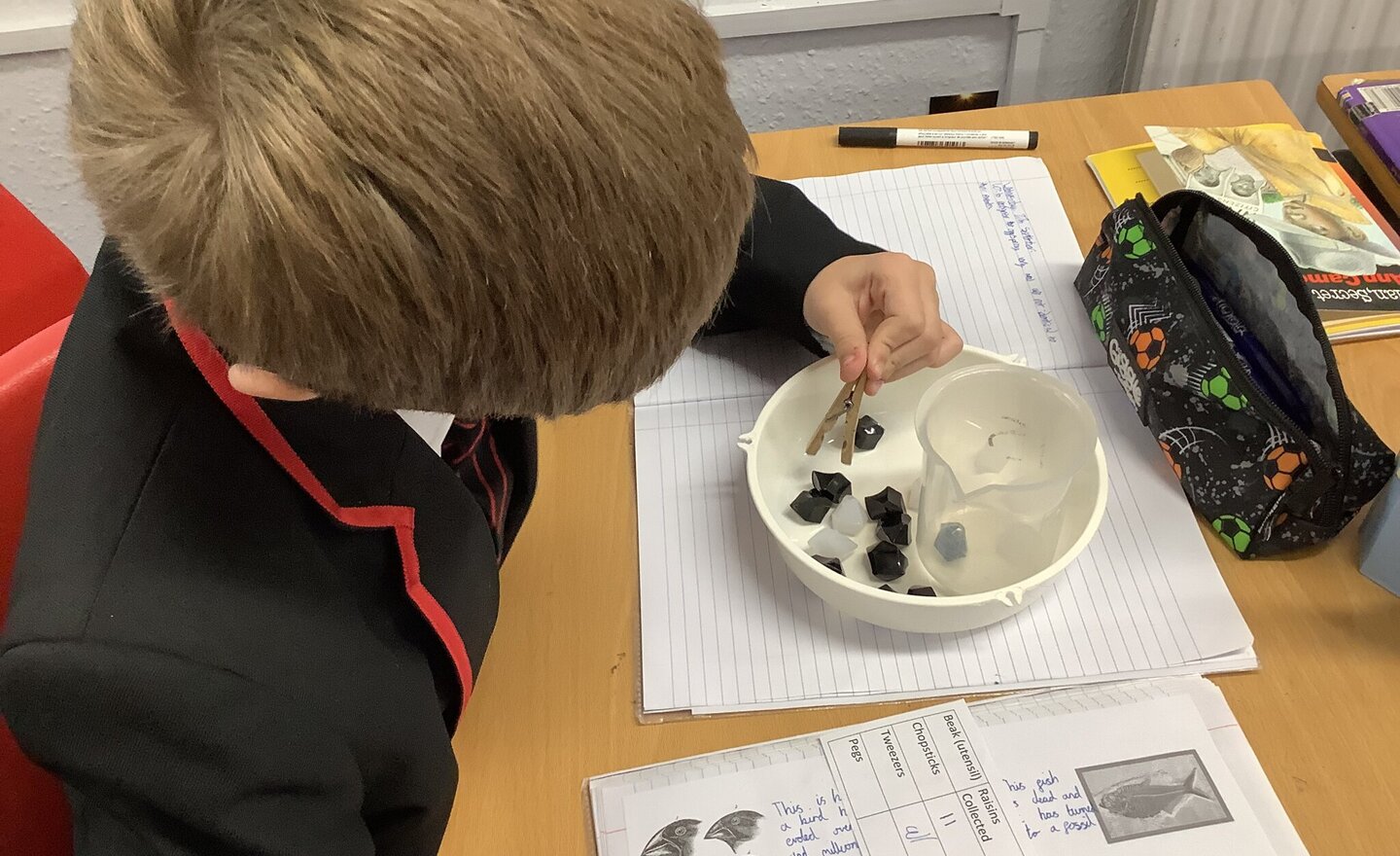 Image of Autumn Term 1 - Week 4 - Class 4