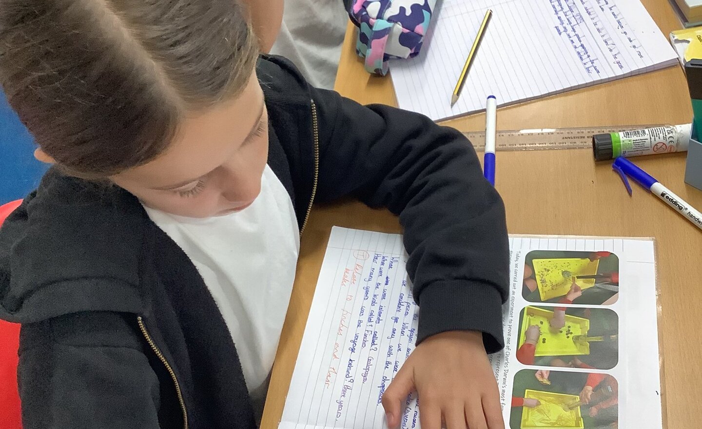 Image of Autumn Term 1 - Week 6