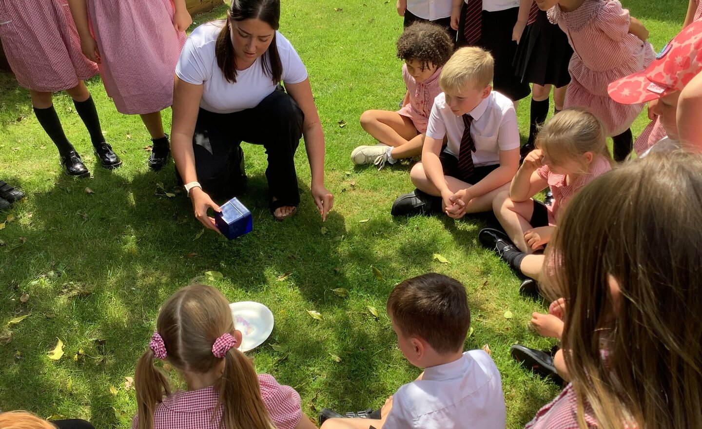 Image of Summer 2- Week 1-Class 2