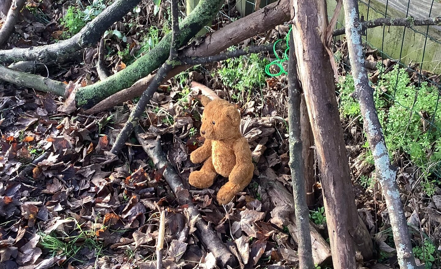 Image of Class 2-Autumn 2-Week 2