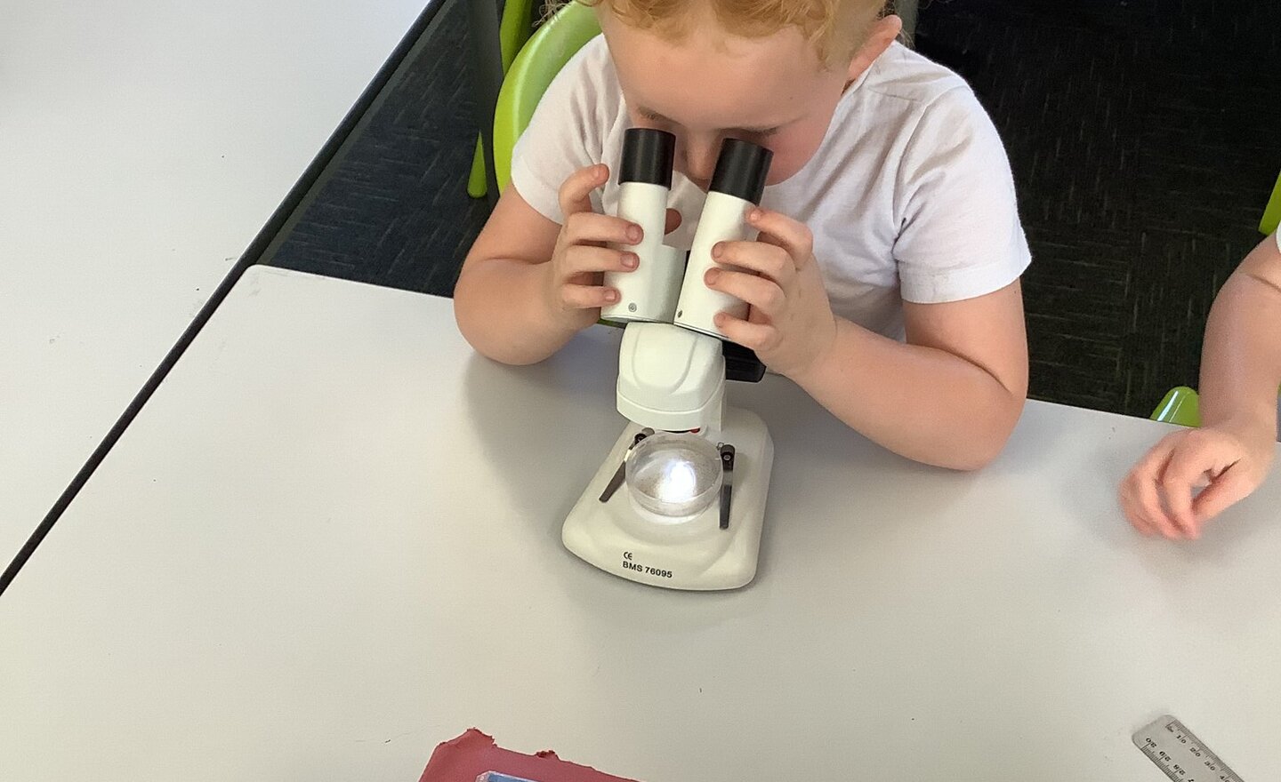 Image of Class 2-Summer 2-Week 5