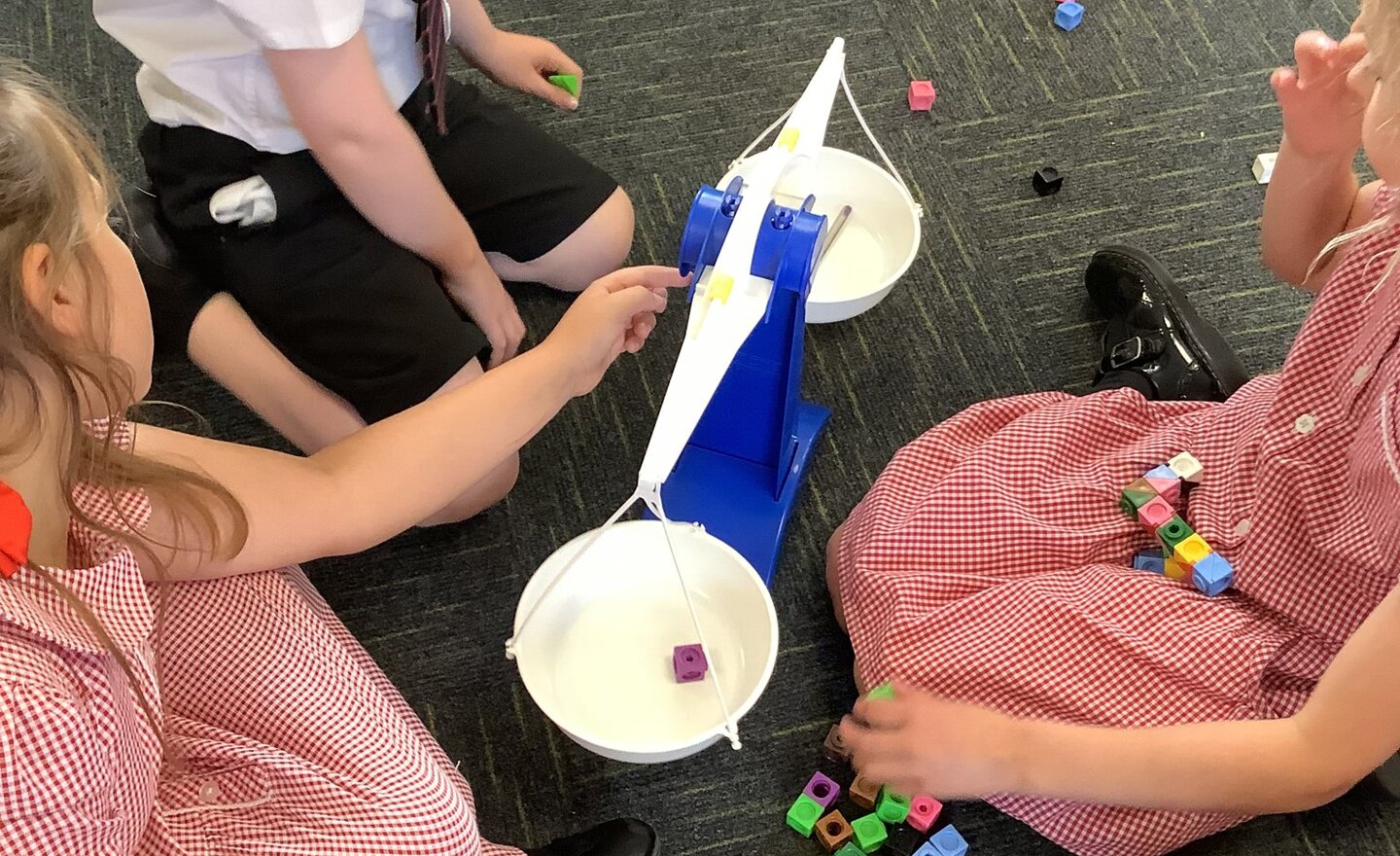 Image of Class 2- Summer 2- Week 6