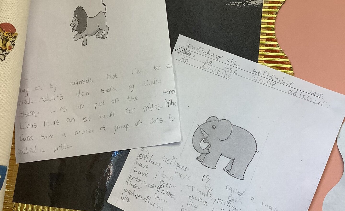 Image of Class 2-Autumn 1-Week 2