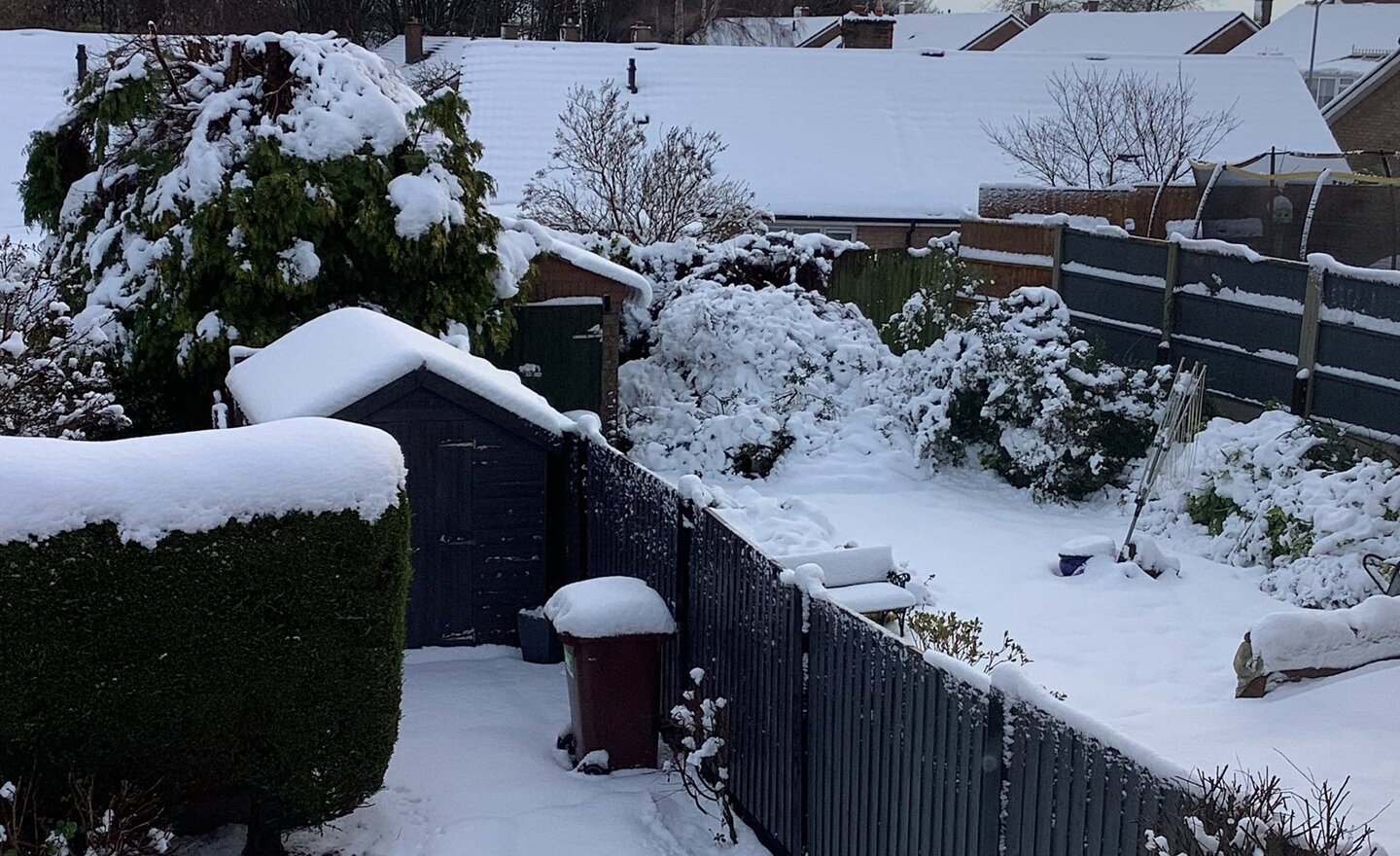 Image of Class 2- Spring 1- Week 1