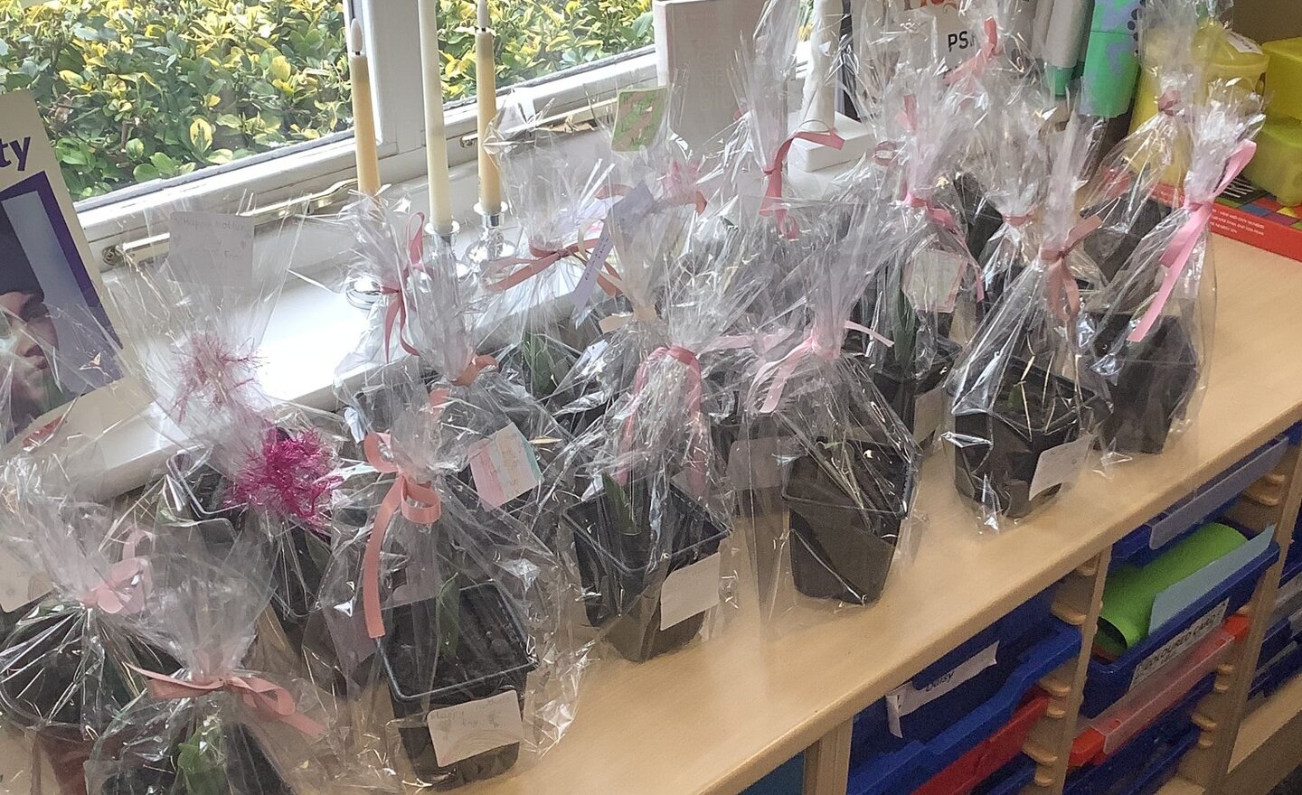 Image of Class 3- Spring 2- Week 3