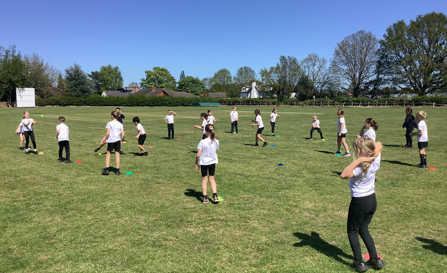 Image of Class 3- Summer 1- Week 3