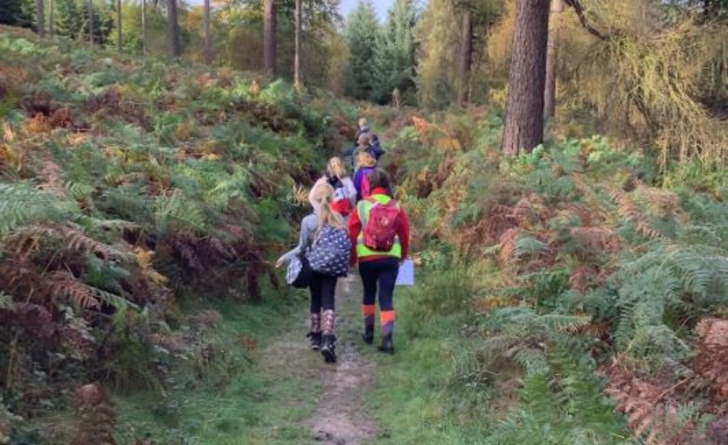 Image of Orienteering - Autumn 2021 By Year 5