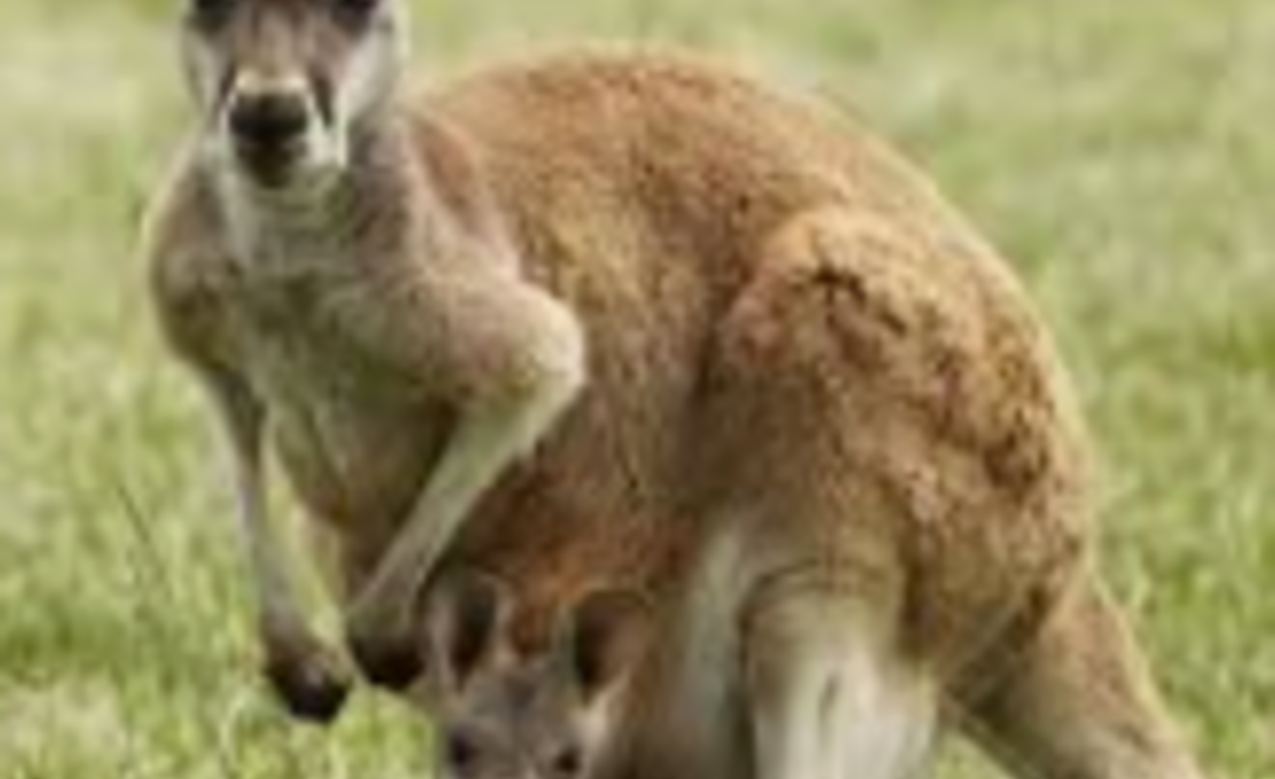 Image of Class 1- Home learning- wk5 Weds/ Thurs/ Fri