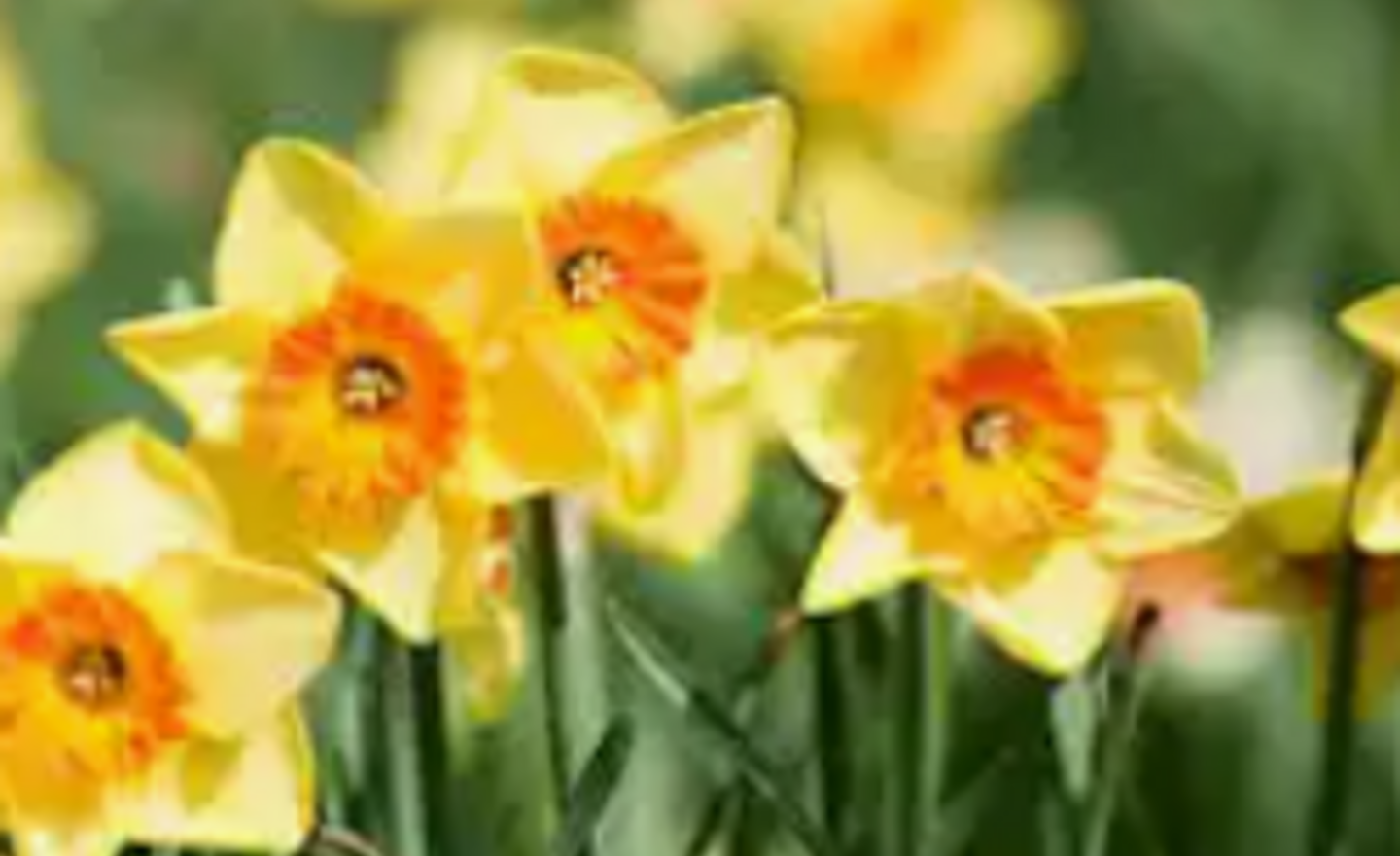 Image of Class 2- Spring Term 2- Week 5