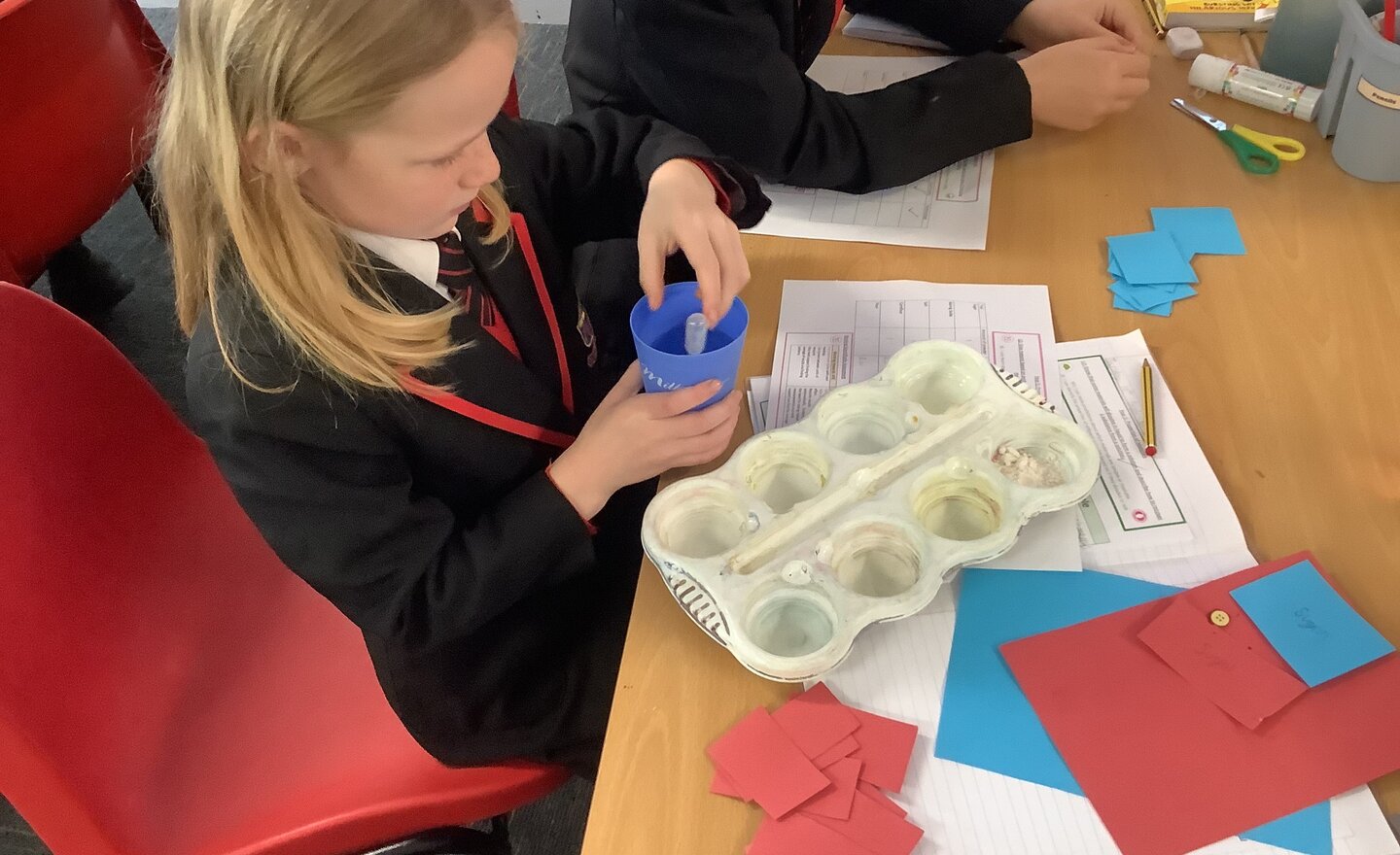 Image of Autumn 1 Week 8 2024