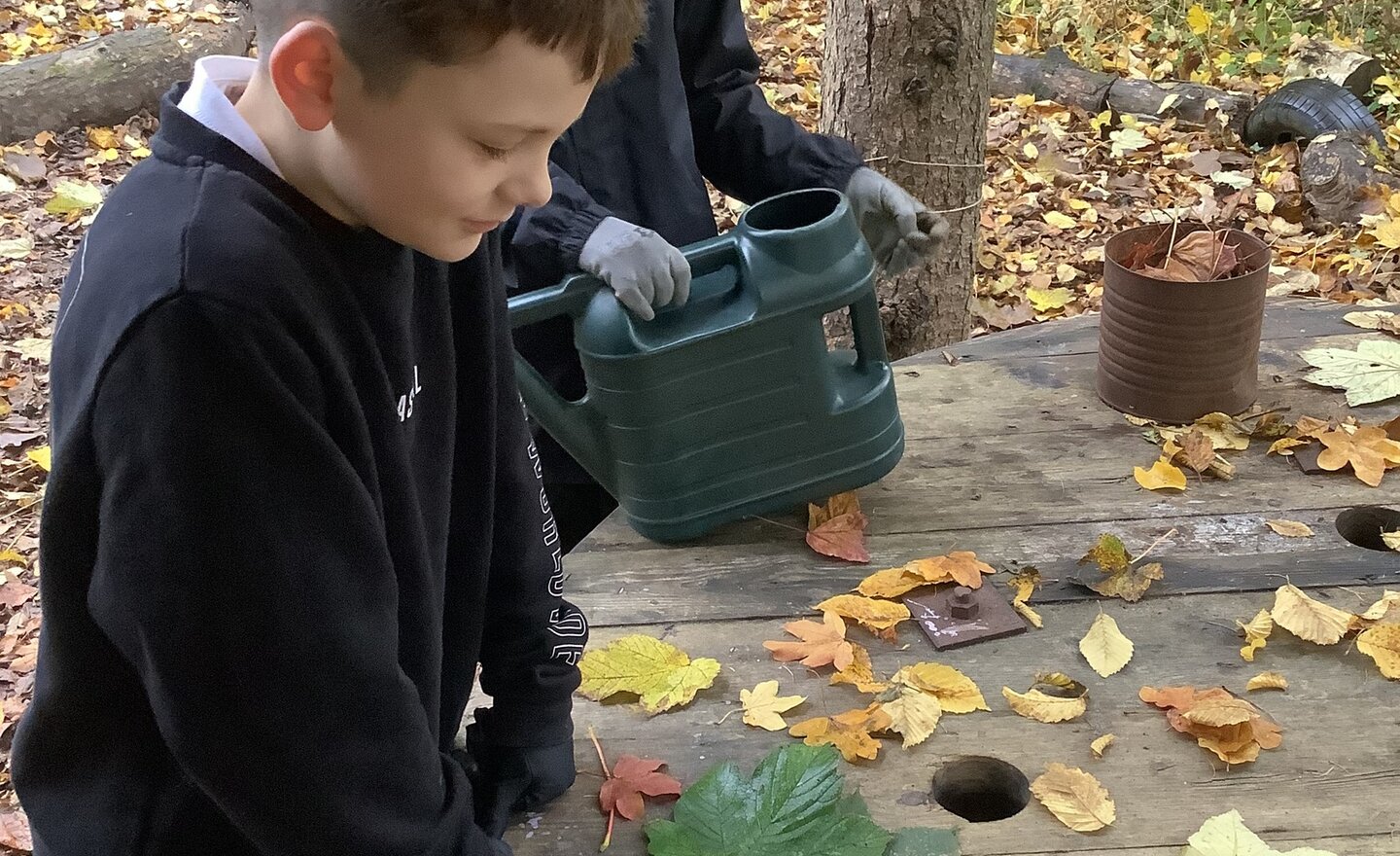 Image of Autumn 2 Week 1 2024