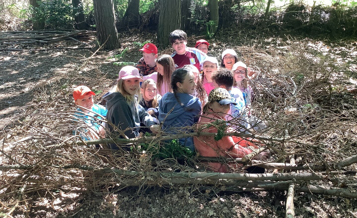 Image of Class 4 Week 3 Summer 1