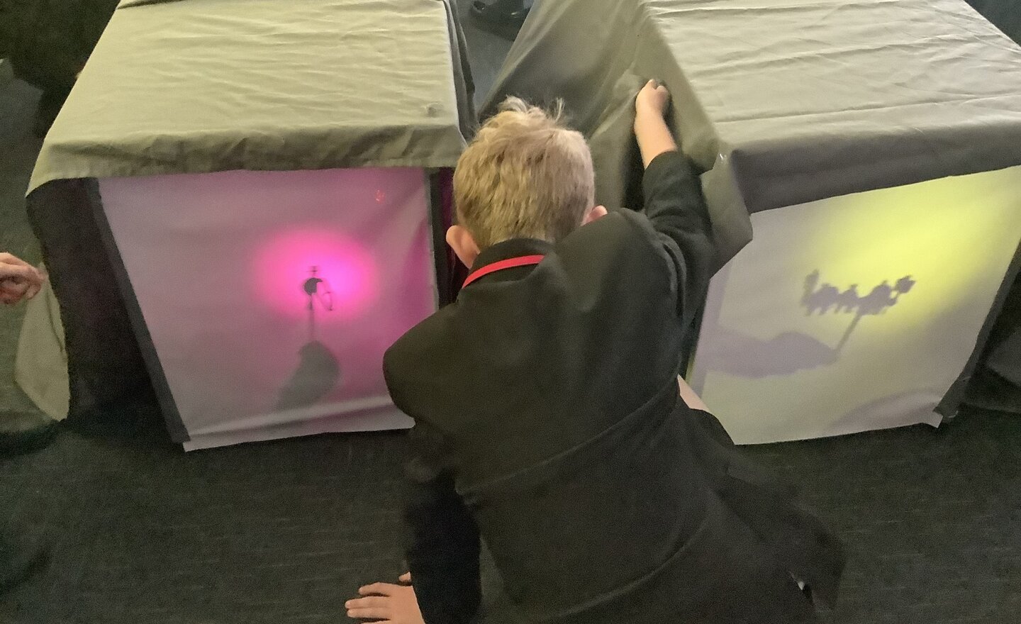 Image of Class 4 Week 4 Summer 1